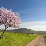 Burggarten
