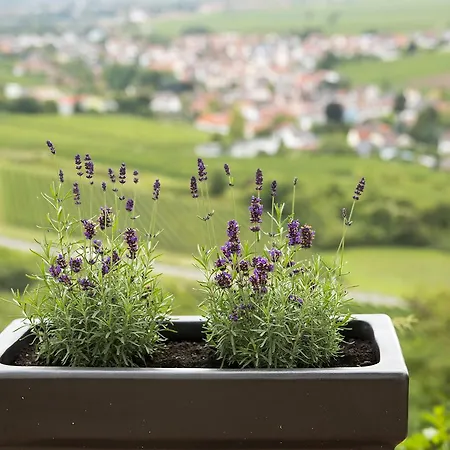 Burggarten Apartamento Neuleiningen