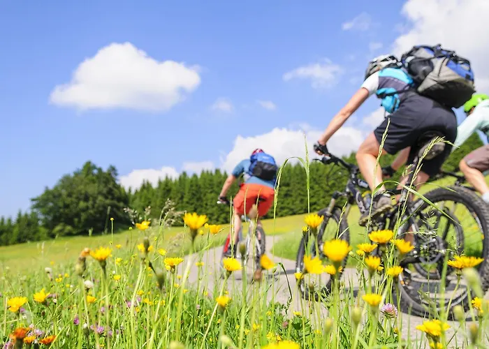 아파트 Burggarten 뉴라이닝언