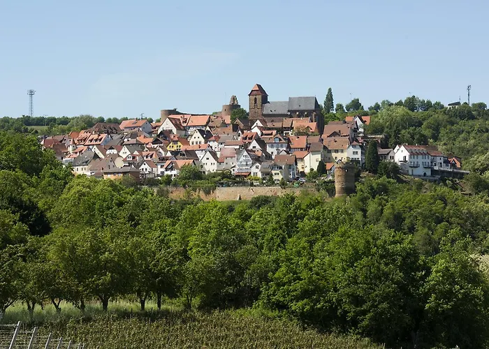 아파트 Burggarten 뉴라이닝언